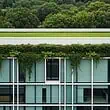 Dachy zielone, ekologia: zielona rewolucja w architekturze
